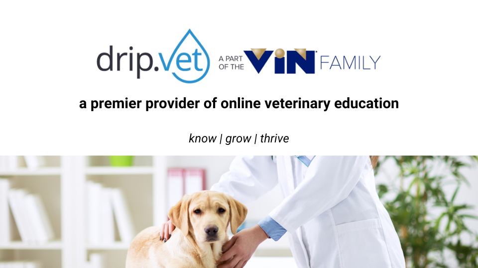 drip.vet a part of the VIN Family