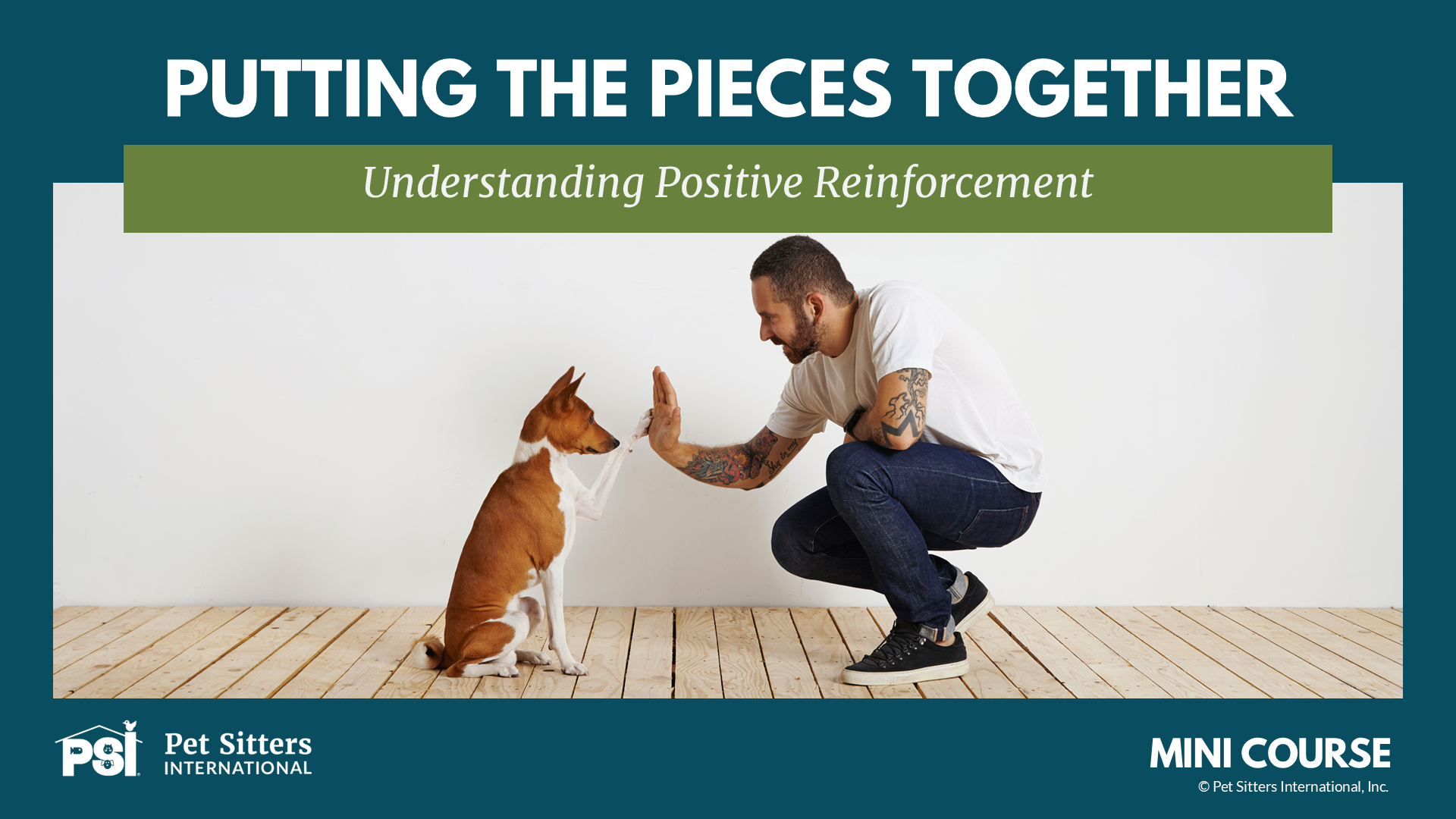 Product image for PSI Mini Course: Understanding Positive Reinforcement