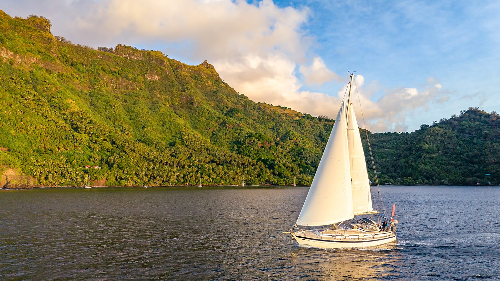 Product image for Secrets to Successful Cruising