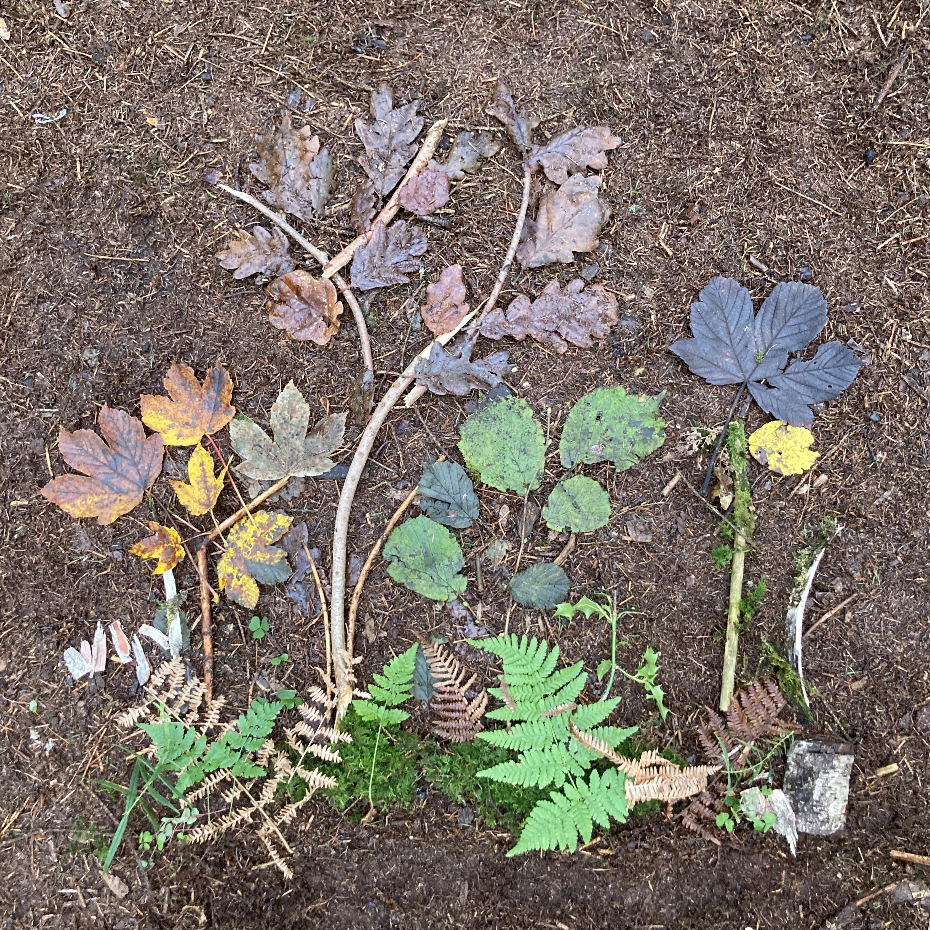 Product image for Working through your Forest School course-  ITC Level 3 Certificate for Forest School Leaders 2026/27