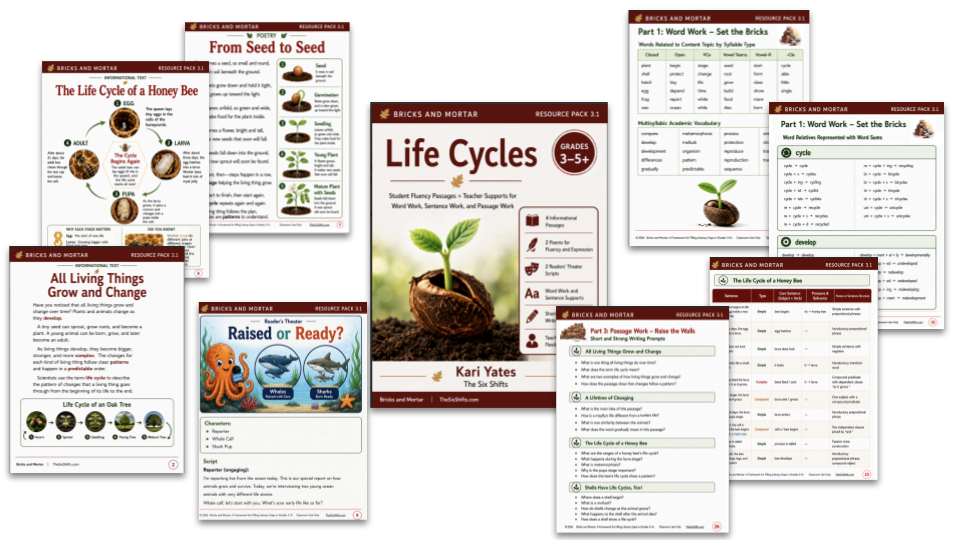 Product image for Filling Literacy Gaps: Bricks and Mortar Resource Pack 3.1 Life Cycles