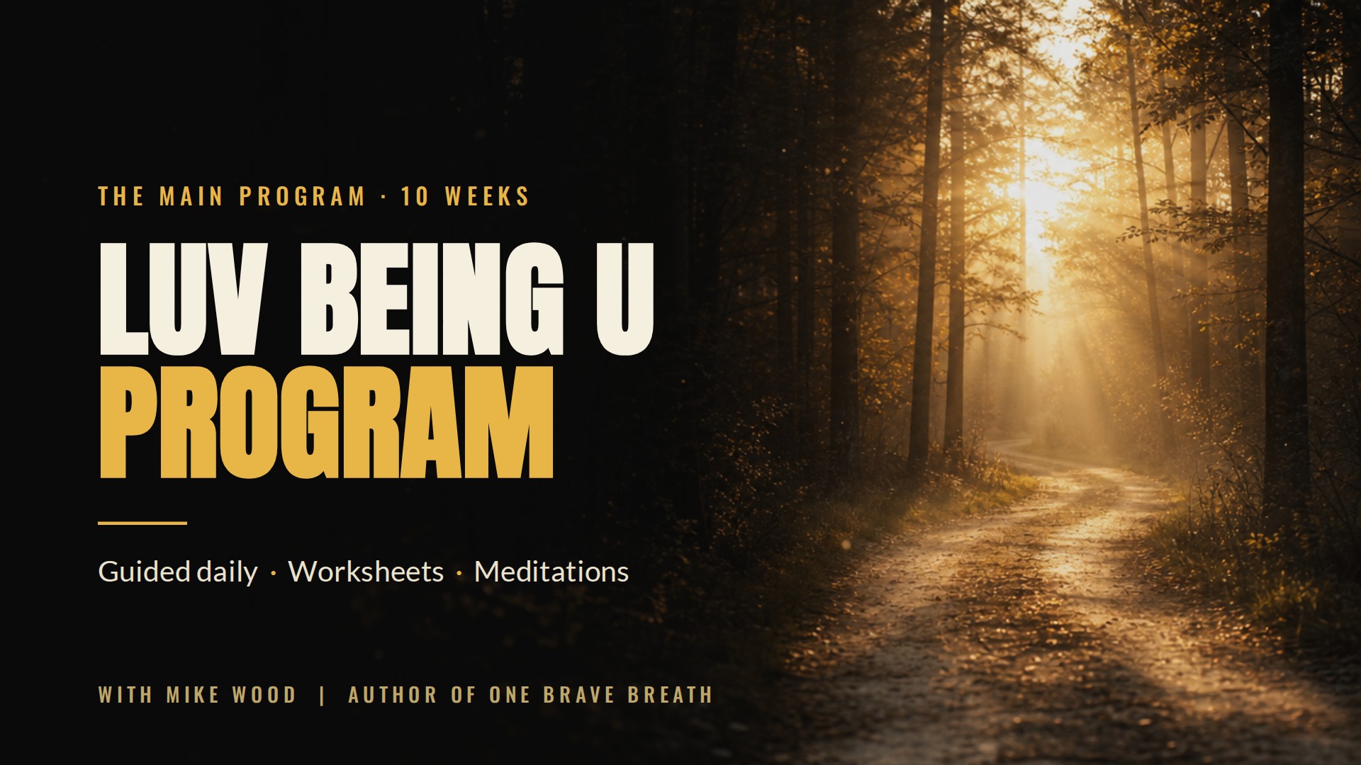 Product image for LUV BEING U Program