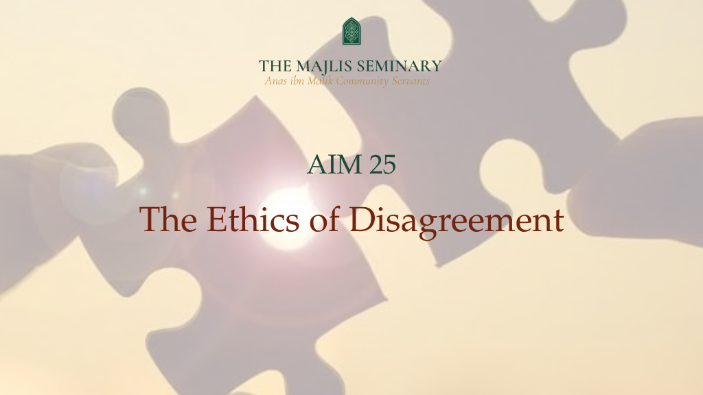 Product image for AIM 25: Ethics of Disagreement