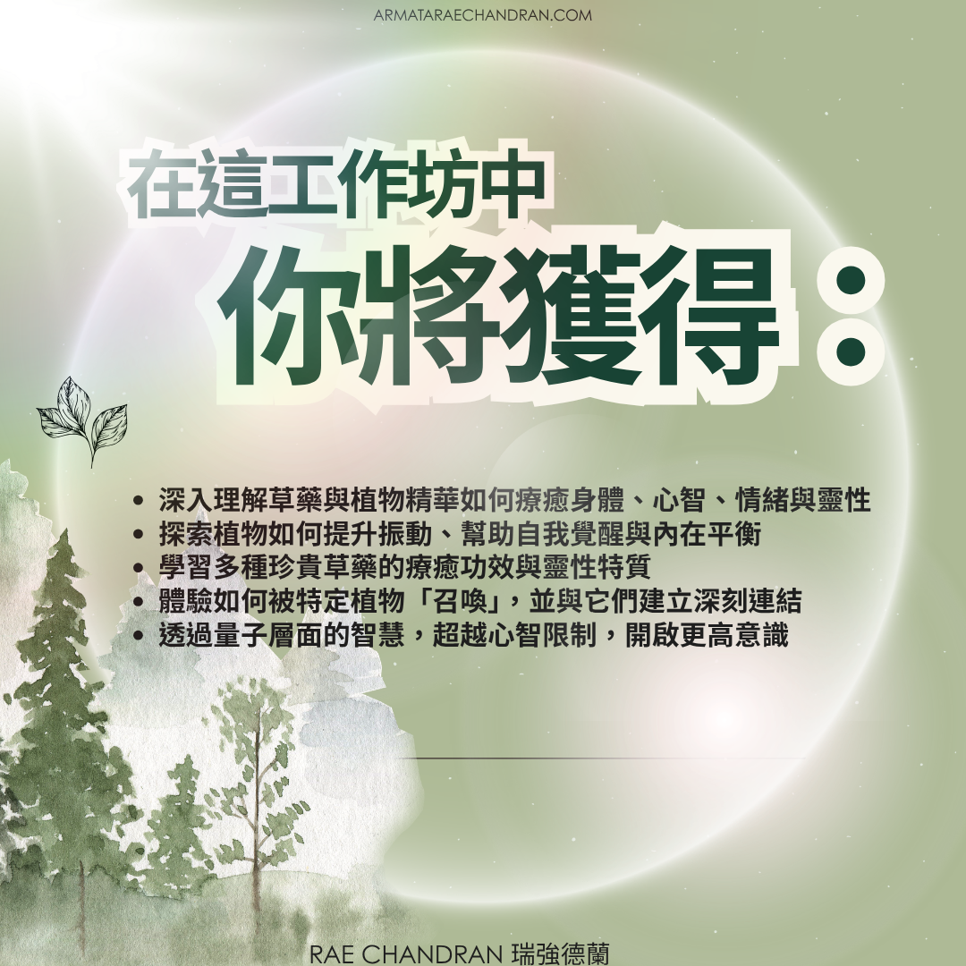 Star Consciousness, 星際意識, DNA, ARMATA Rae Chandran, Rae, 阿爾瑪他, 瑞, 強德蘭新年,傳訊,,課程, New Year Eve, Channeling, surrender, 臣服, Rae Chandran, 瑞強德蘭