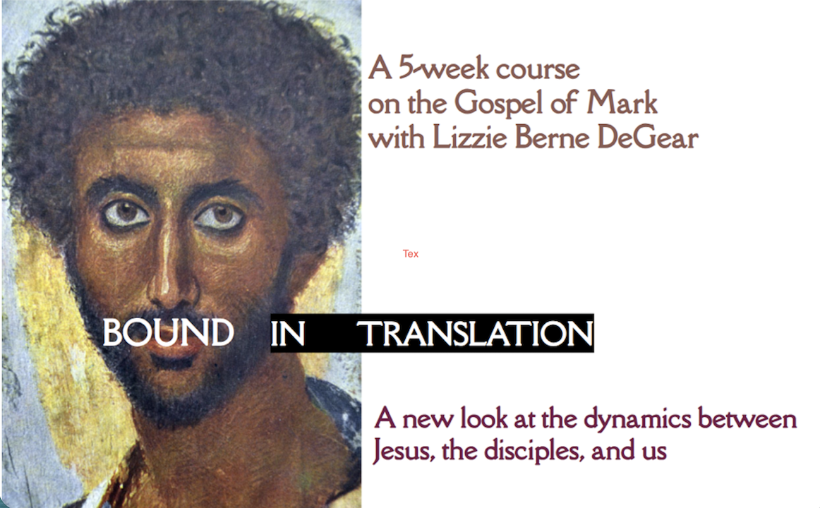 Product image for PCS 203B - Bound in Translation