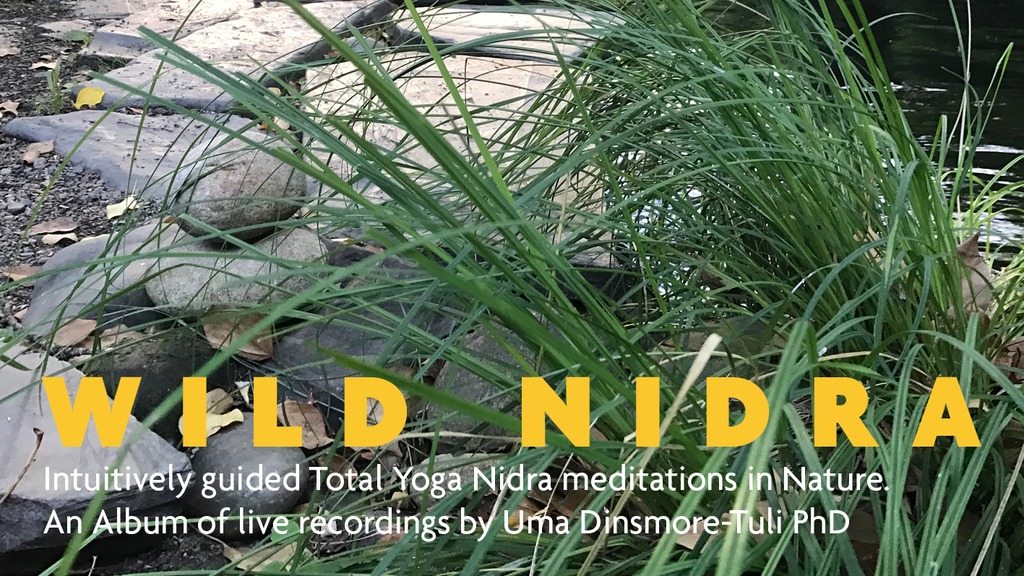 Product image for Wild Nidra | Audio Download