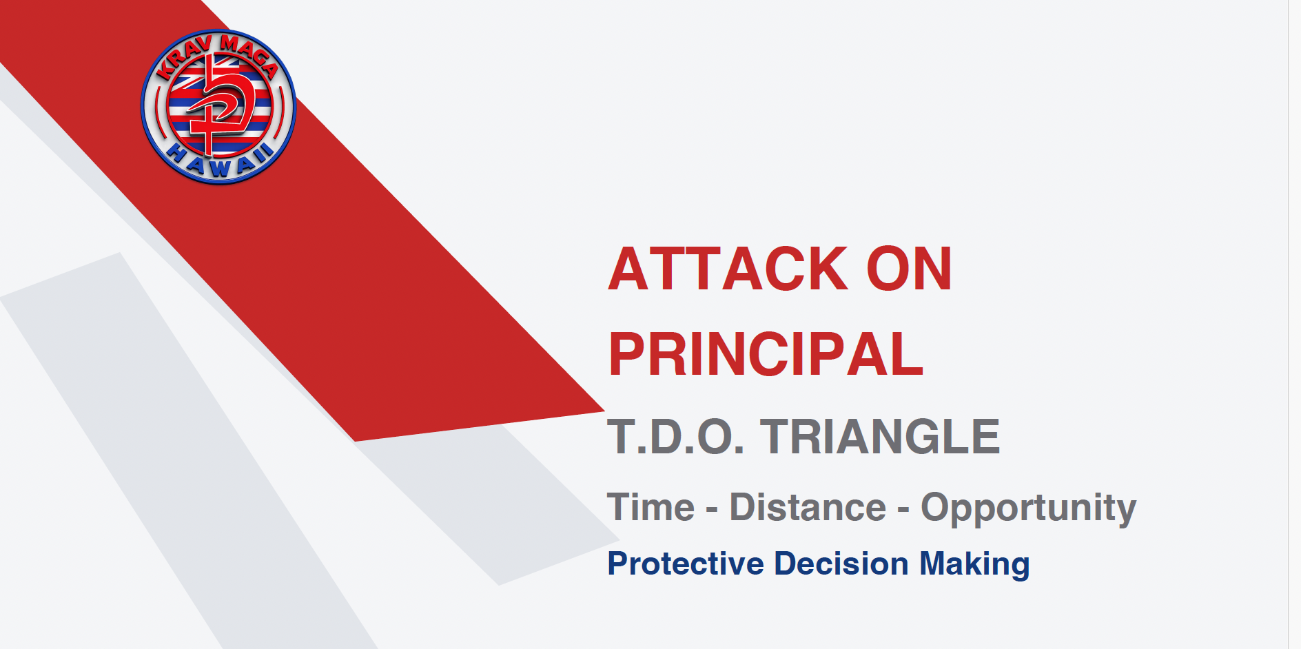 Product image for A.O.P. Attack on Principal