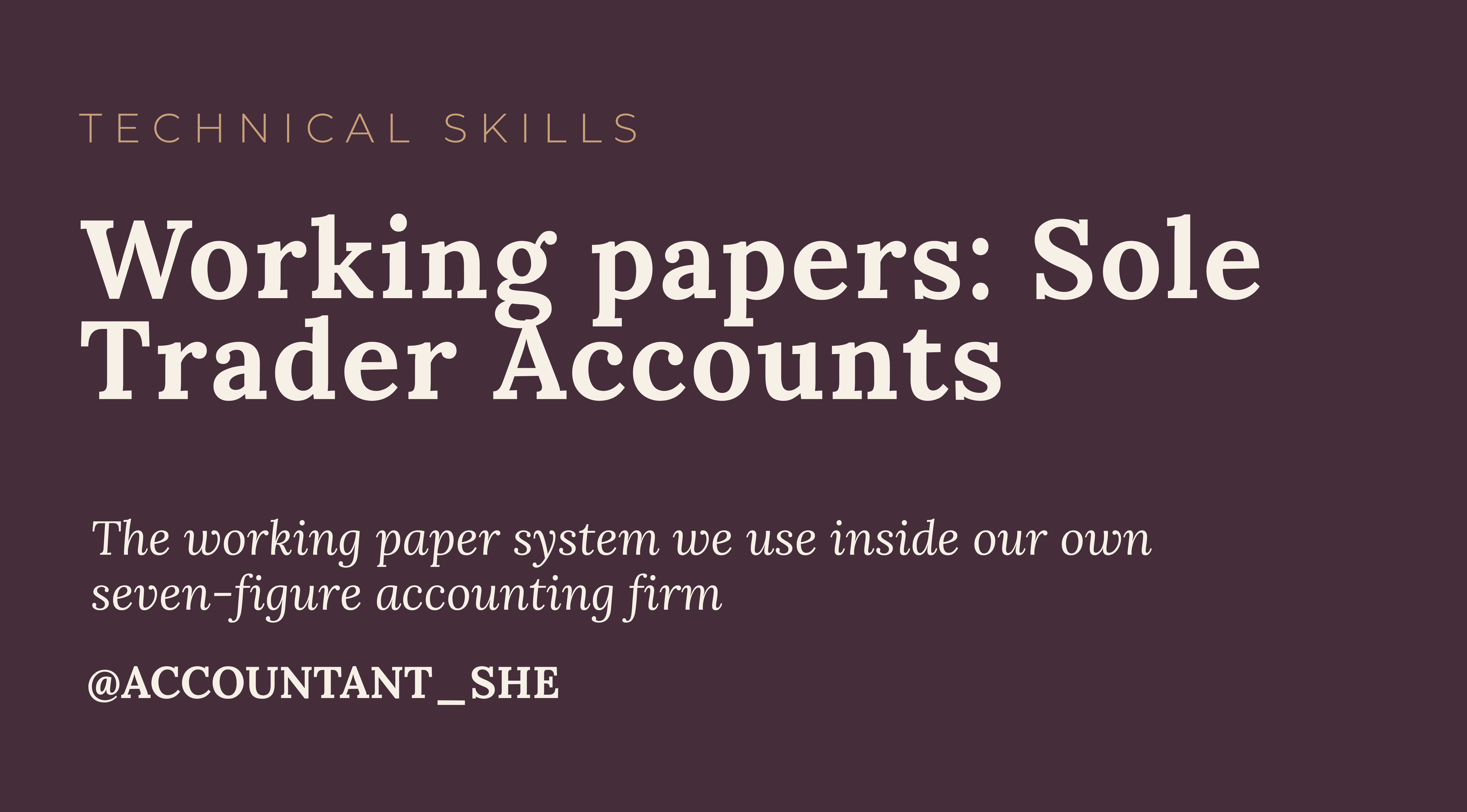 Product image for Working Papers - Sole Trader Accounts
