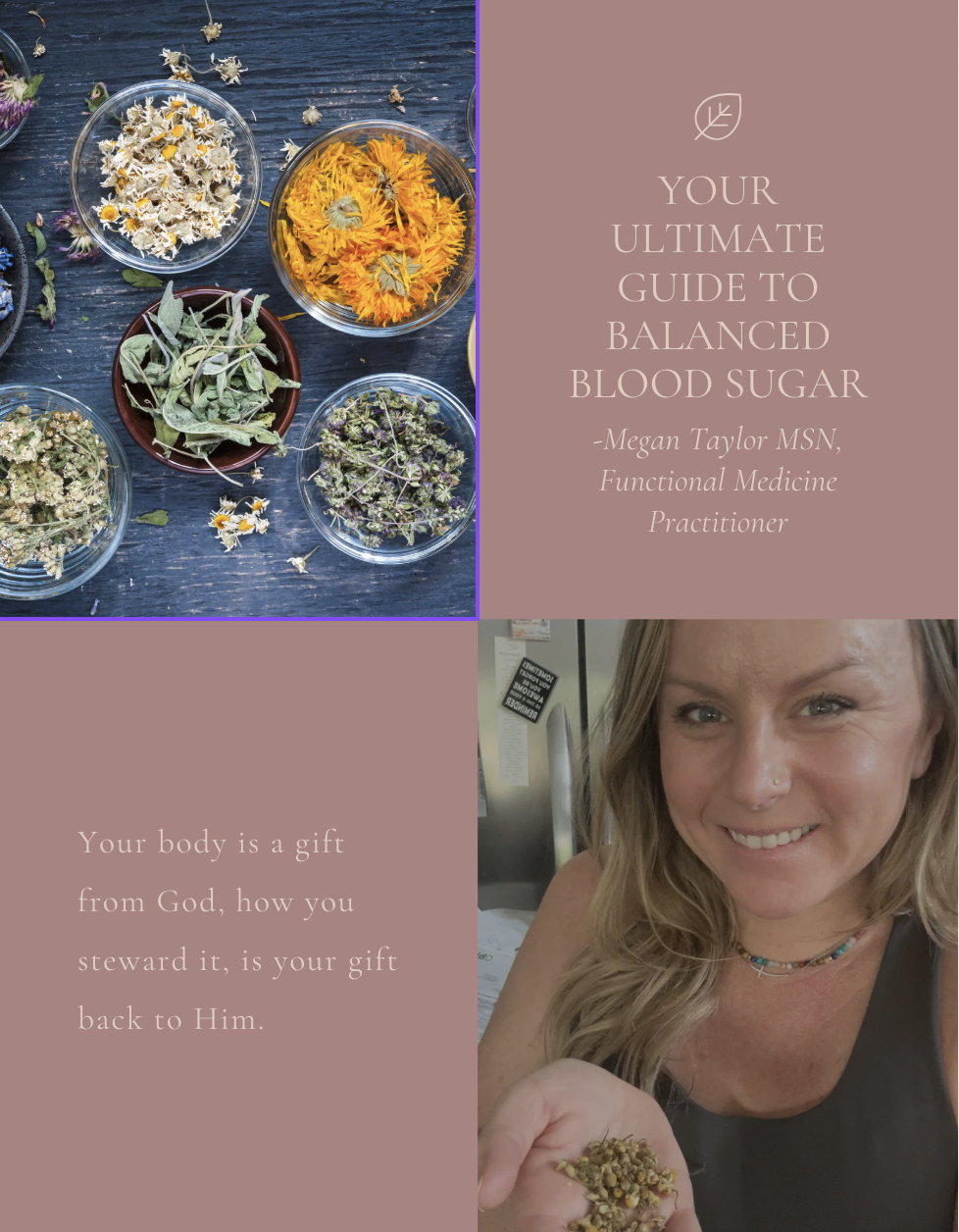 Product image for The Ultimate Balanced Blood Sugar Guide
