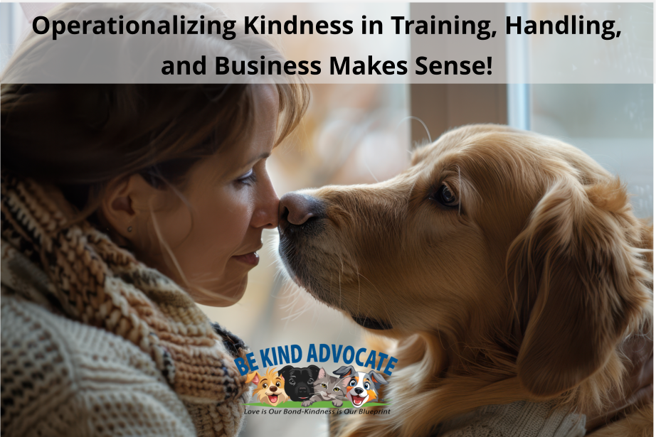 Product image for Be Kind Advocate Certification