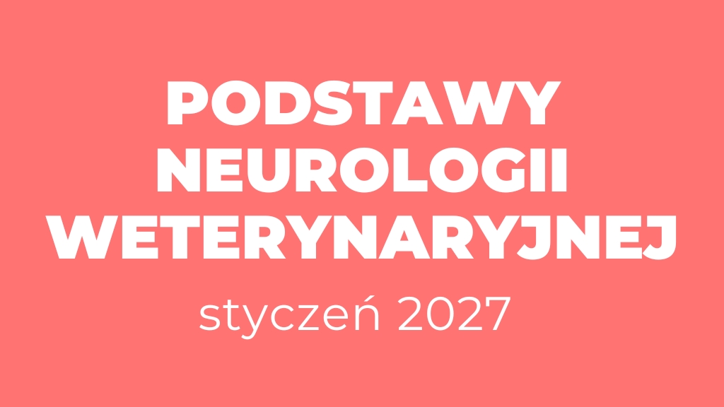 Product image for Podstawy Neurologii Weterynaryjnej -  styczeń 2027 (6 tygodni)