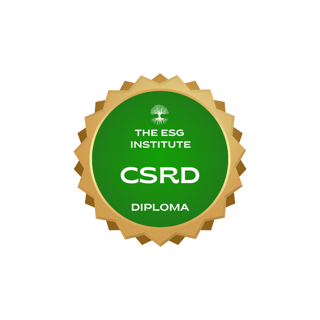 Product image for Diploma in CSRD