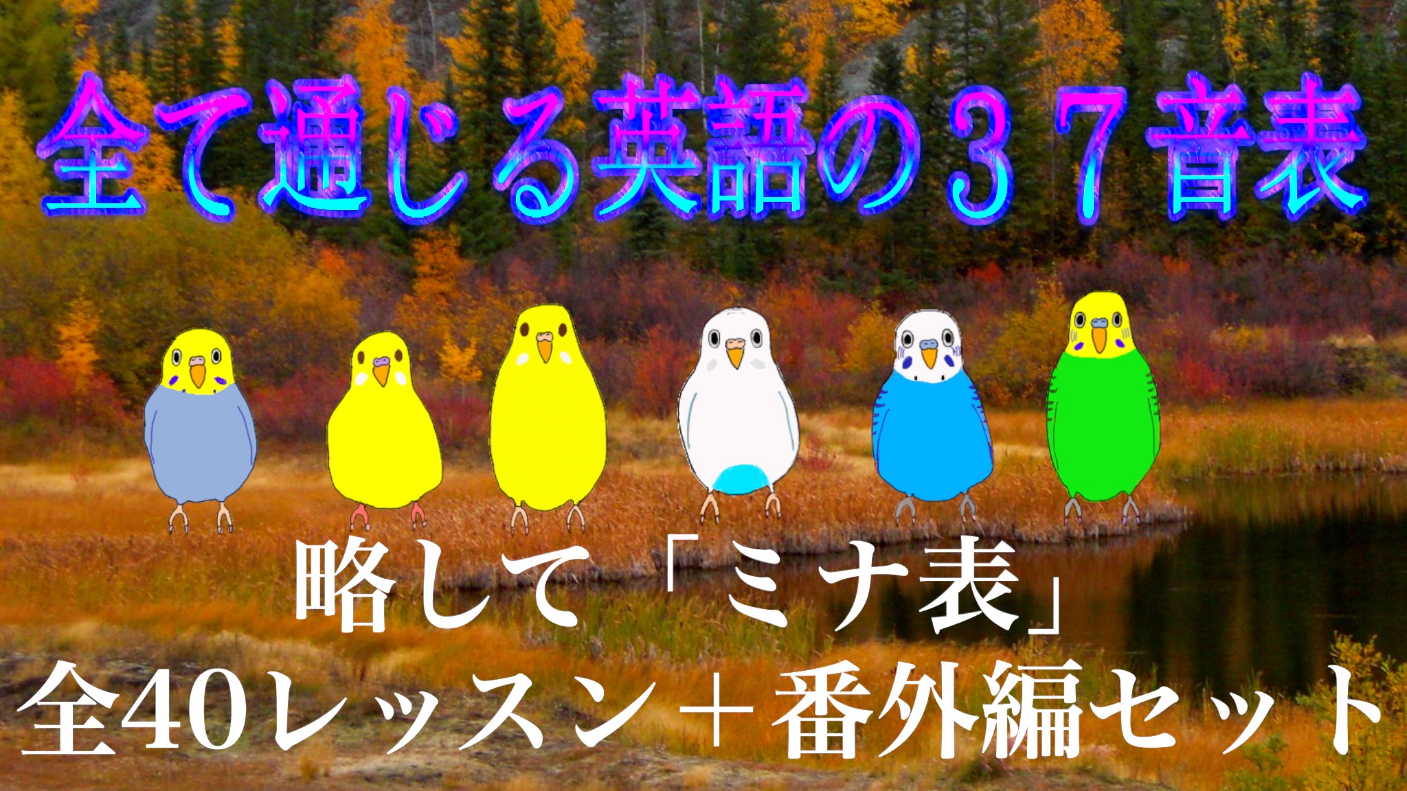 全て通じる英語の37音表全巻セット