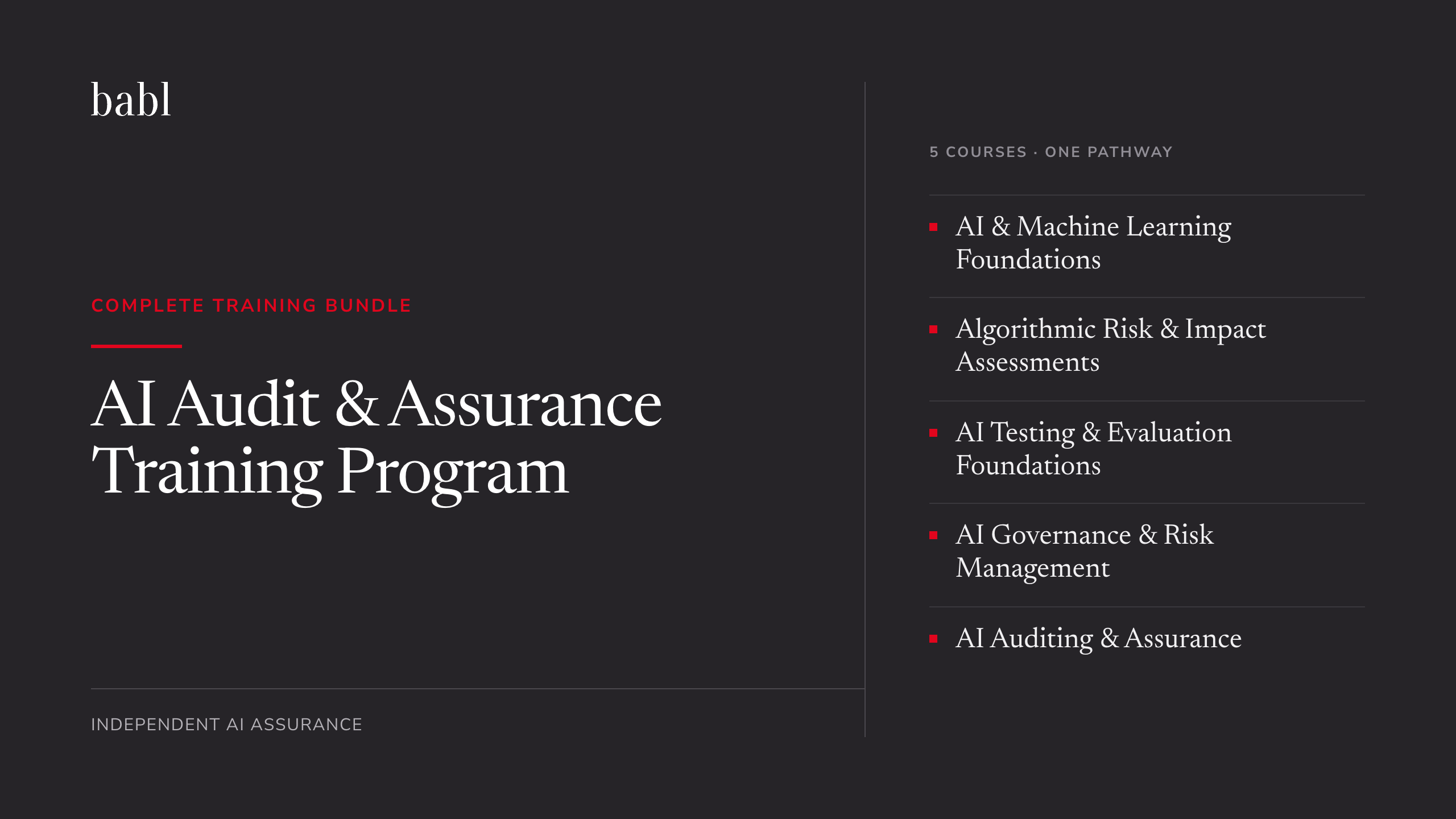 Product image for AI Audit and Assurance Training Program