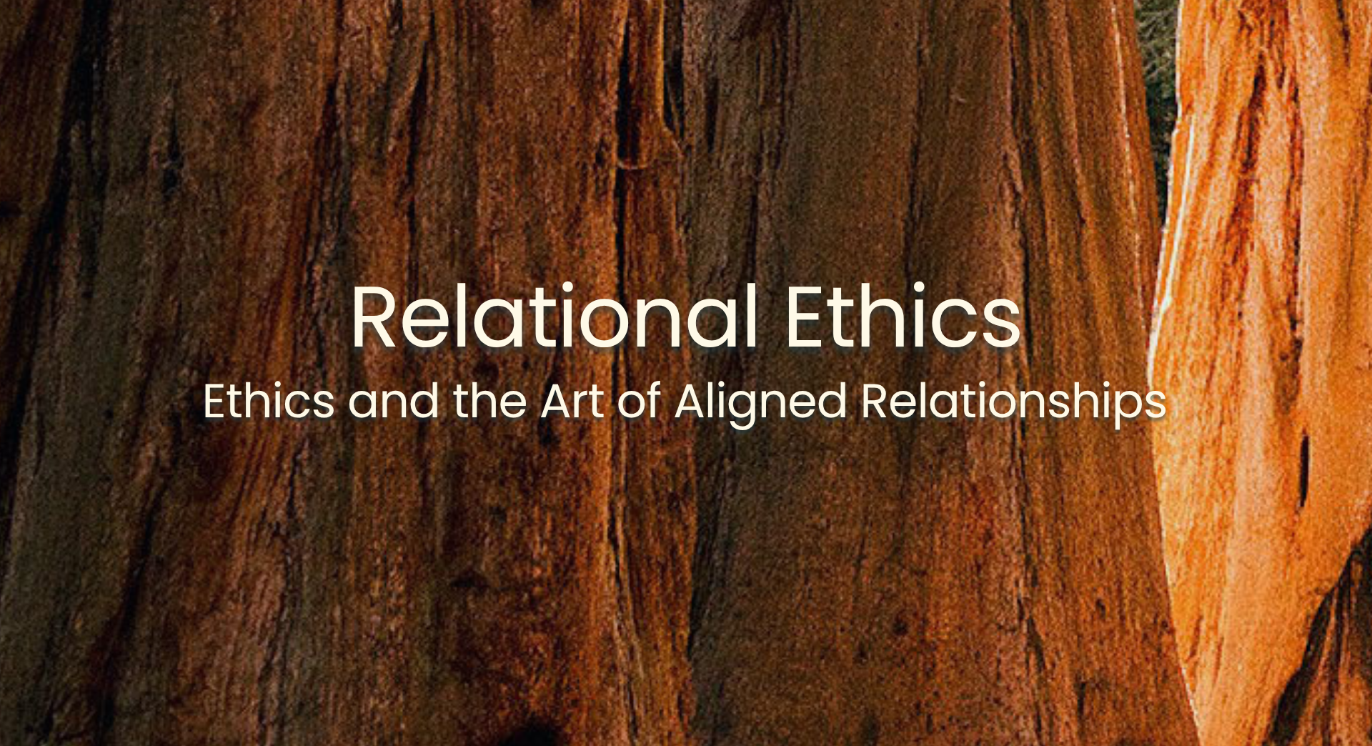 Product image for Ethics and the Art of Aligned Relationships Spring 2027