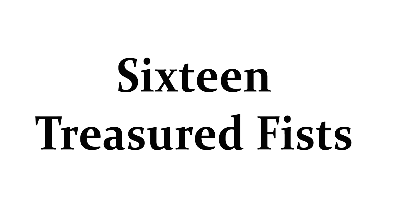 Product image for 宝  拳  十  六  法   Hoken Ju Roppo Lessons - The 16 Treasured Fists