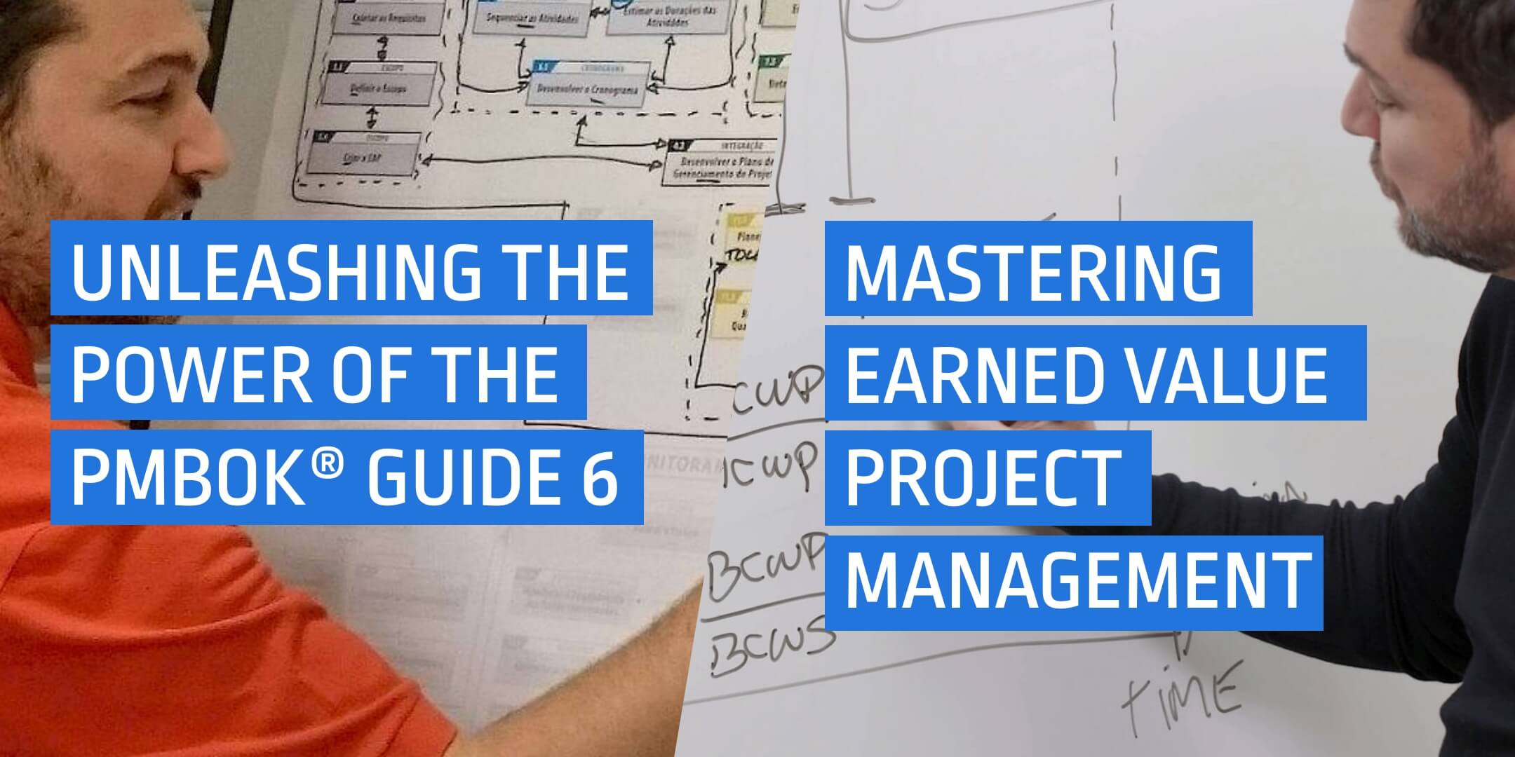 Product image for PMBOK Guide 6th / Mastering Earned Value Bundle
