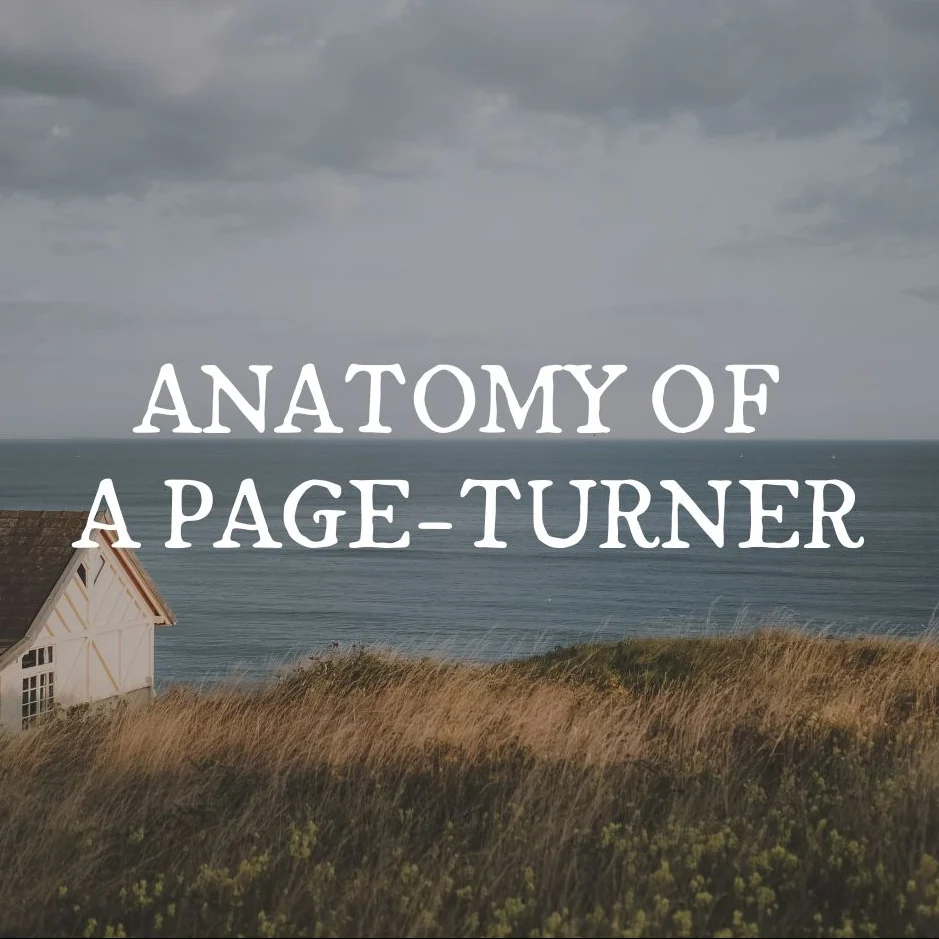Product image for Anatomy of a Page-Turner