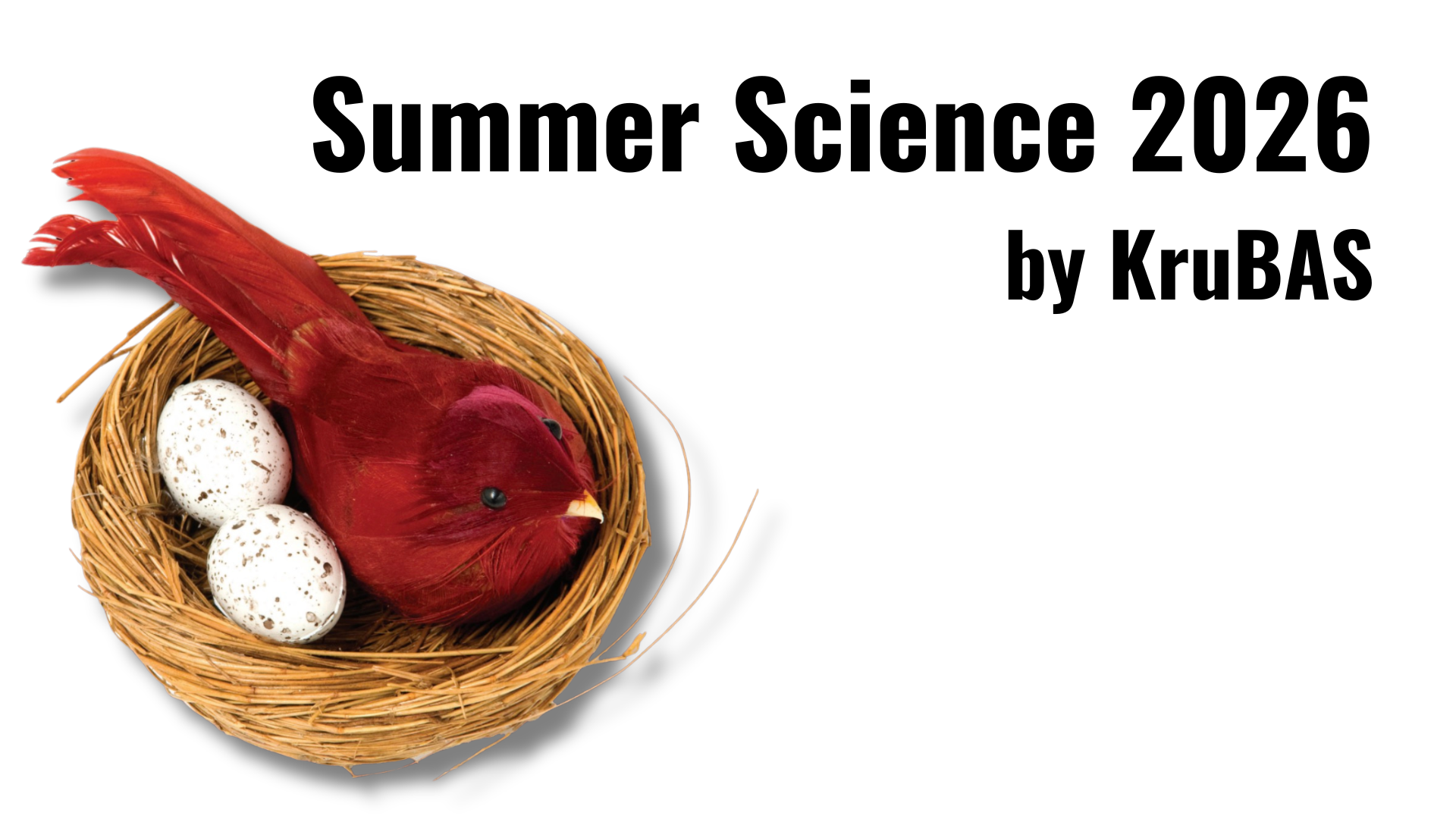 Product image for Summer Science 2026
