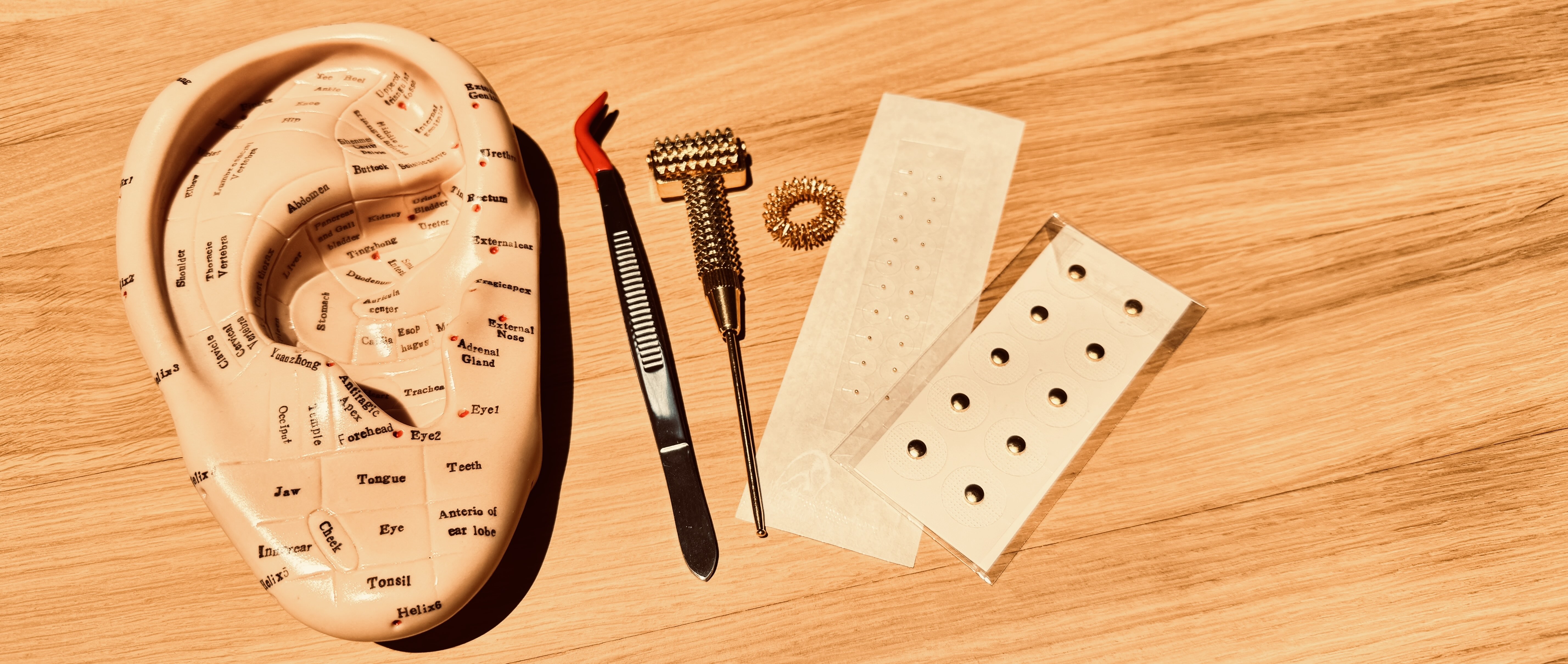 Product image for Ear Seeds, Magnets and Auricular Reflexology certification