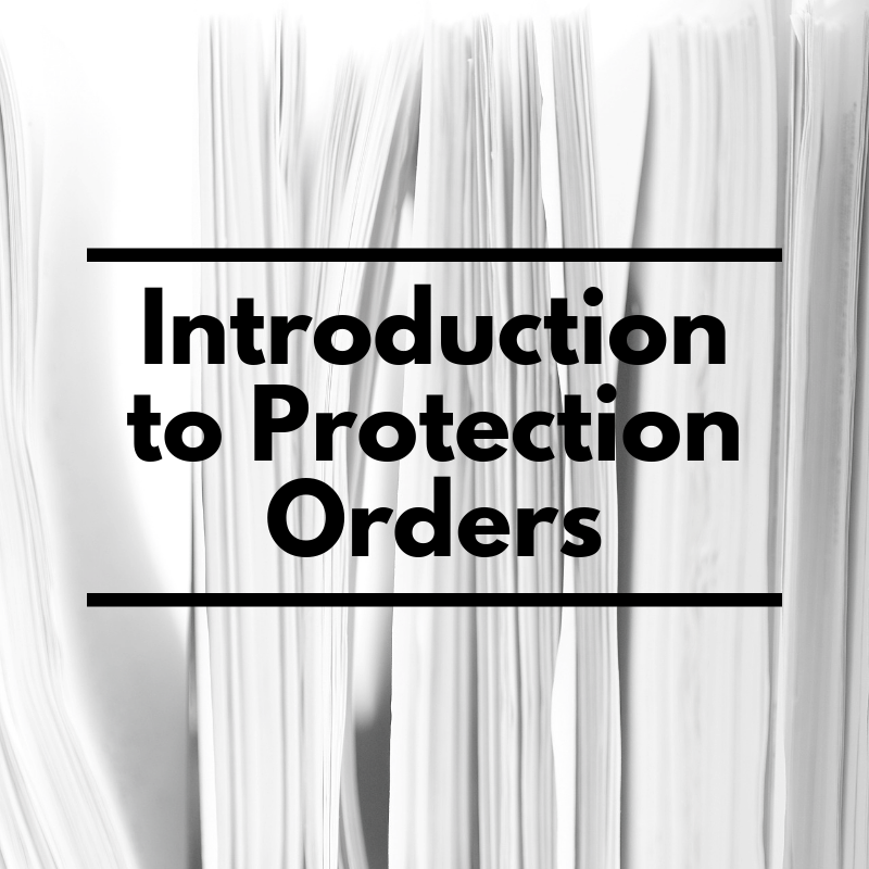 Product image for Introduction to Protection Orders