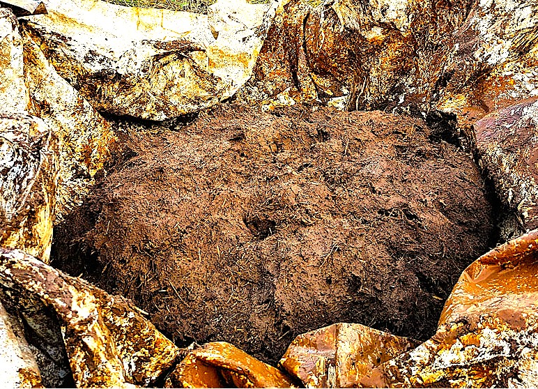 Product image for One Earth, Many Mixtures