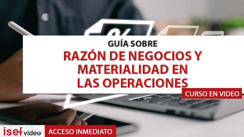Imagen de producto para GUÍA SOBRE RAZÓN DE NEGOCIOS Y MATERIALIDAD EN LAS OPERACIONES