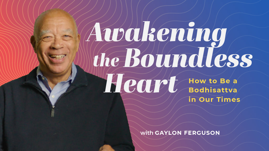 Product image for Awakening the Boundless Heart