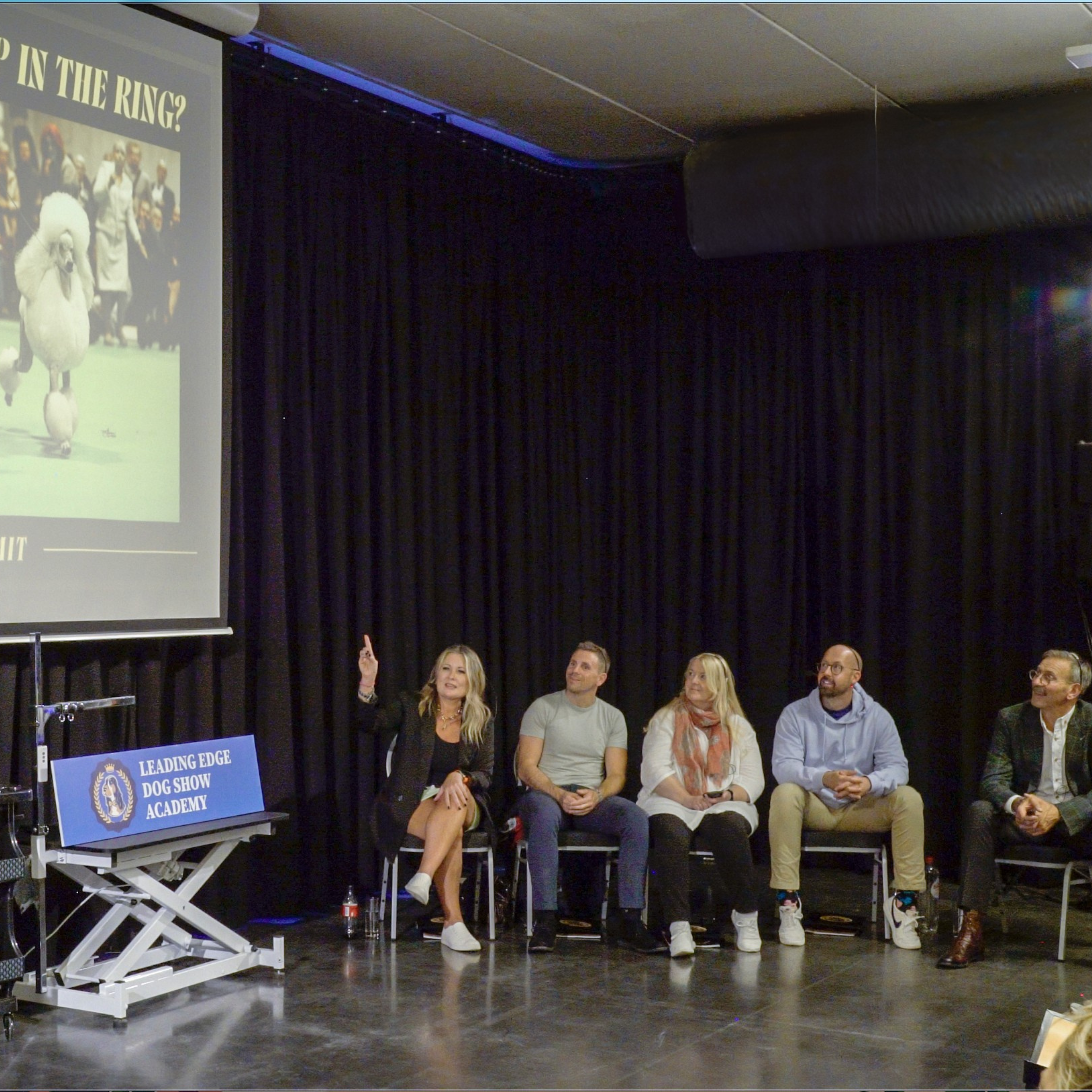 Panelists pointing to presentation