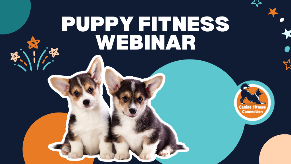 Product image for Puppy Fitness Webinar