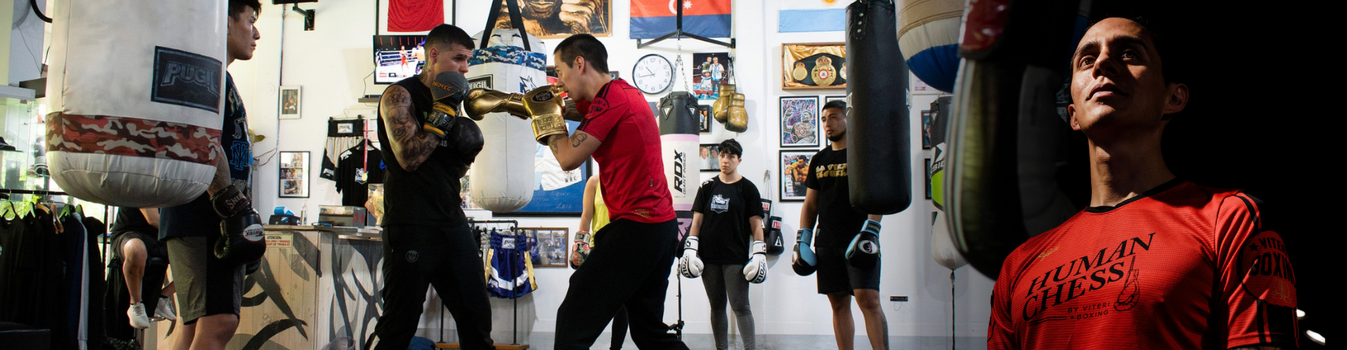 Viteri Boxing Suscripción