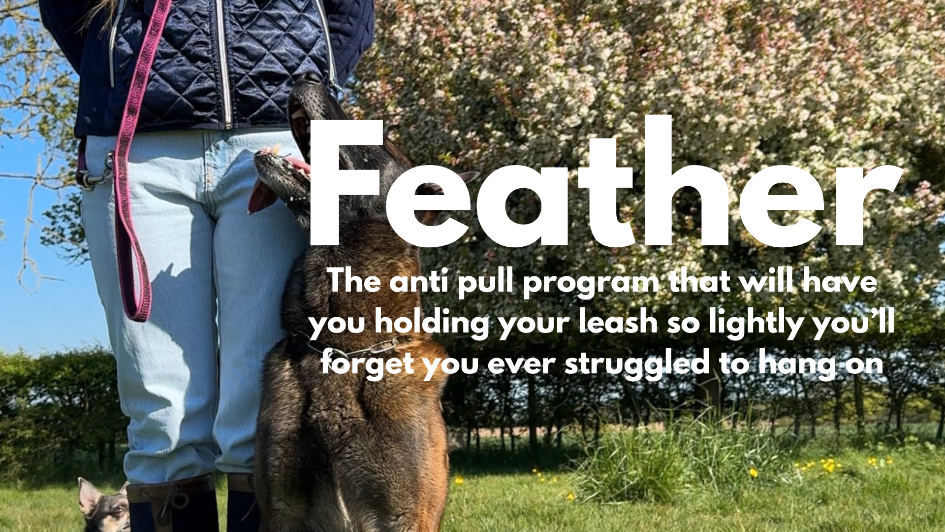 Product image for Anti Pull Program