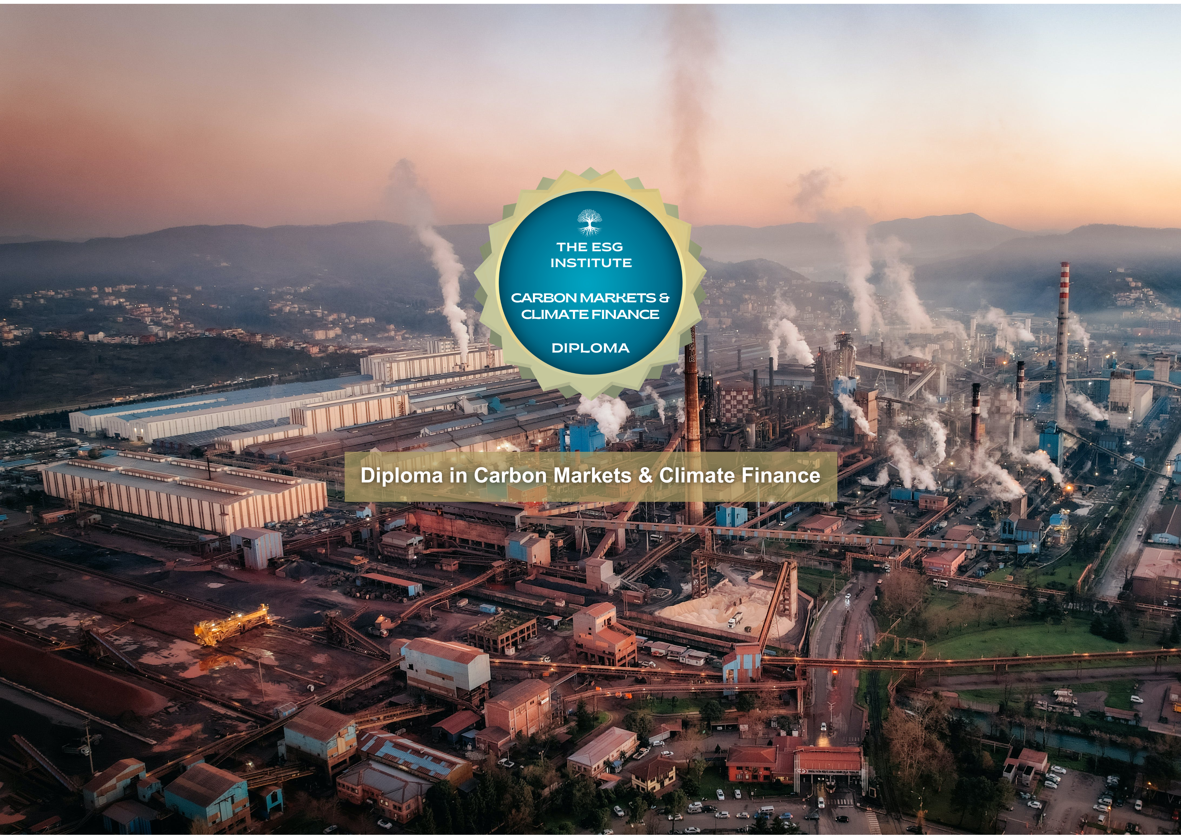 Diploma in Carbon Markets and Climate Finance
