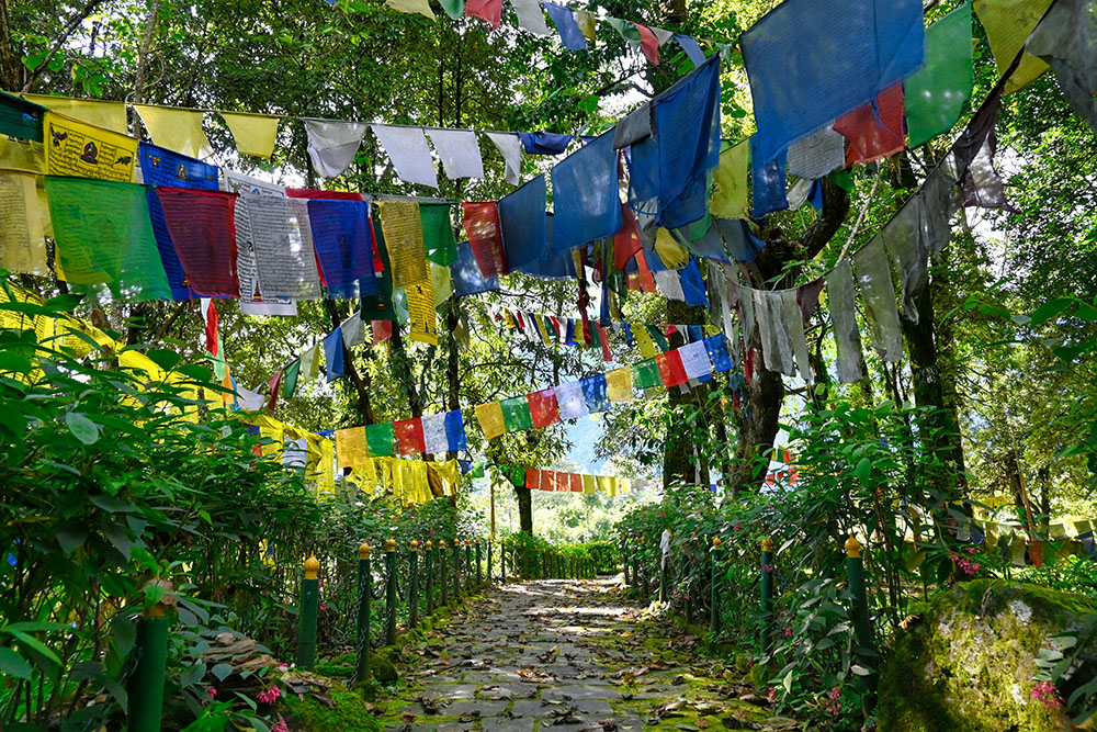 A path in India bedecked with Tibetan prayer flags