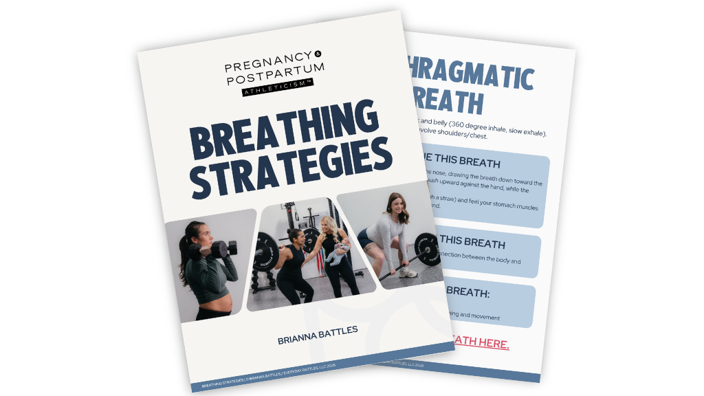 Product image for P&PA Breathing Strategies Guide