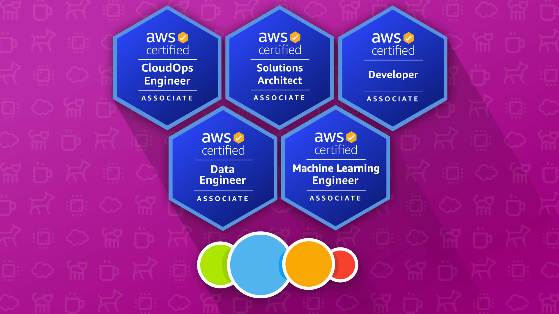 Product image for AWS All Associate Bundle