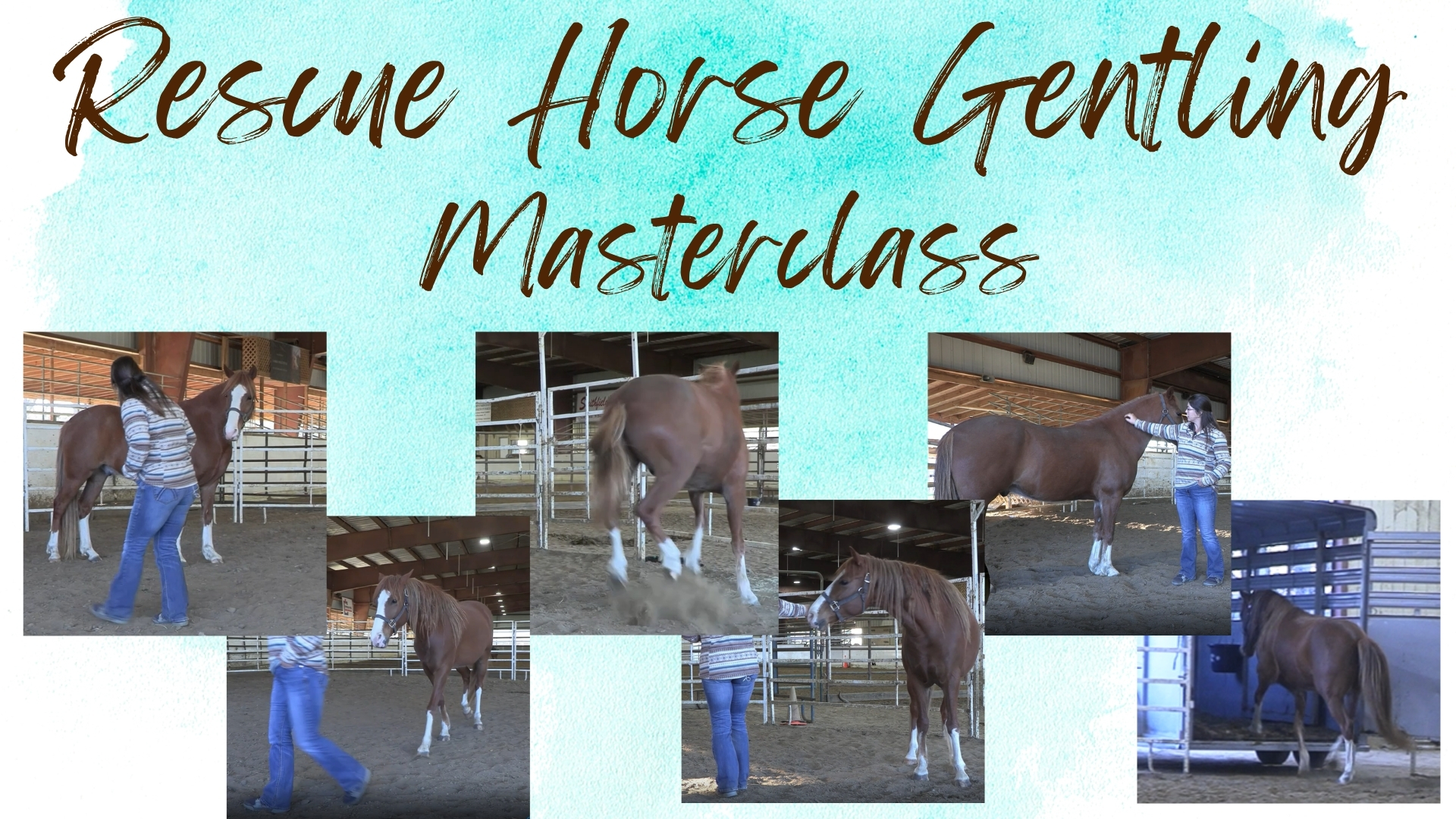 Product image for Rescue Horse Gentling Masterclass