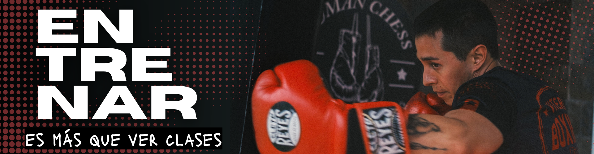 Viteri Boxing Suscripción