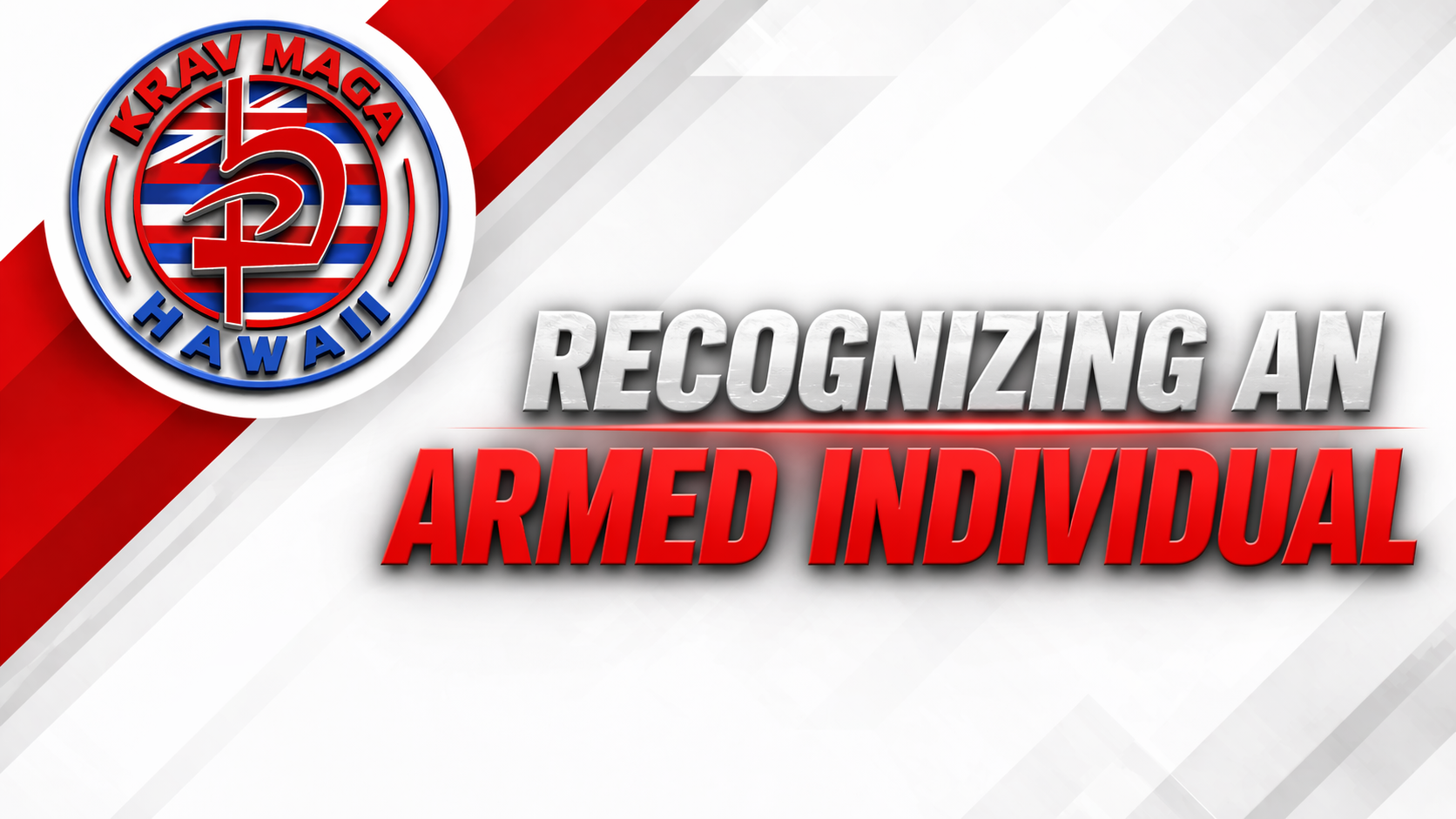 Product image for Recognizing an Armed Individual