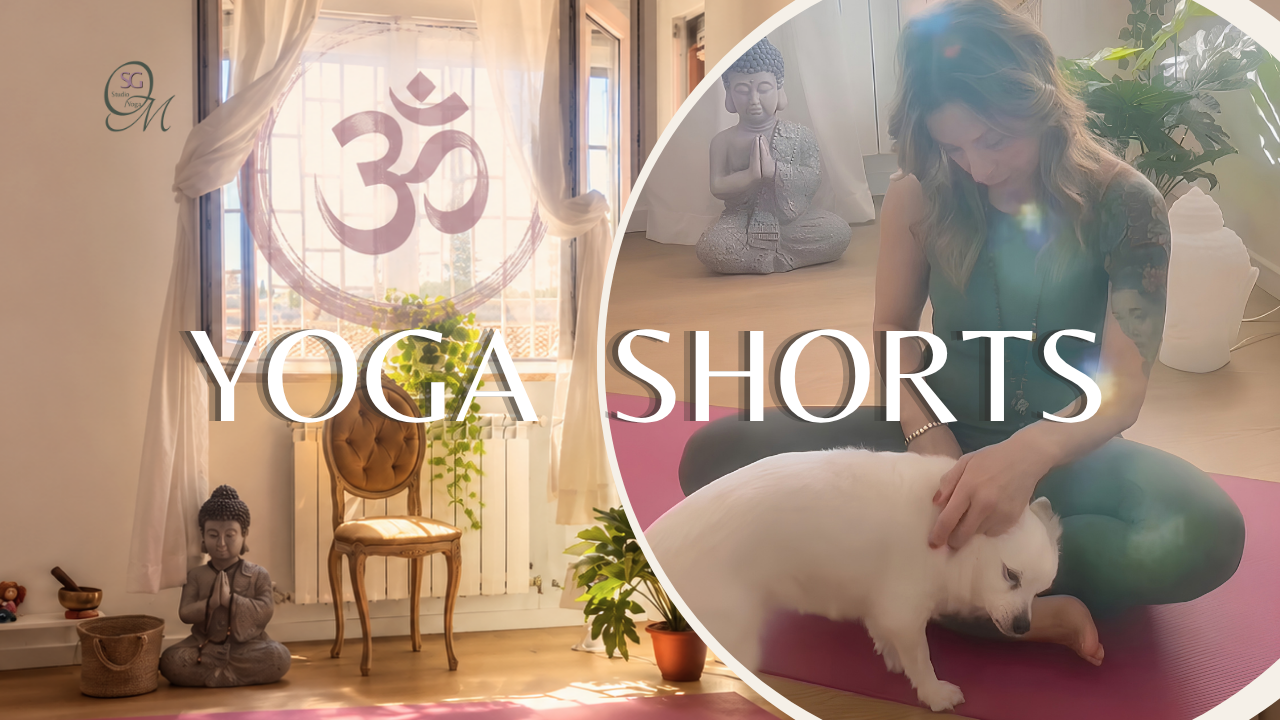 Immagine del prodotto per YOGA SHORTS