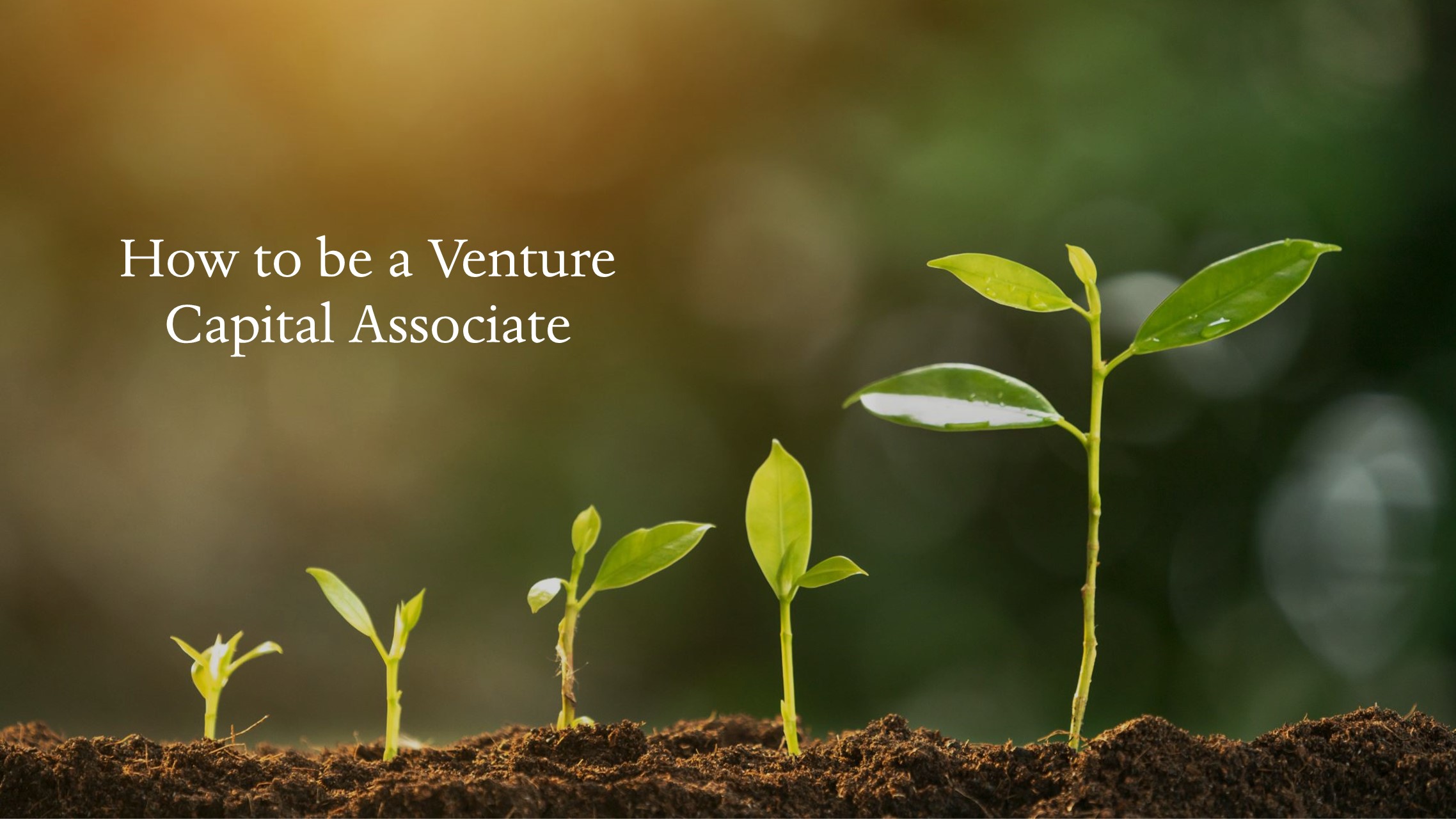 Product image for How to be a Venture Capital Associate
