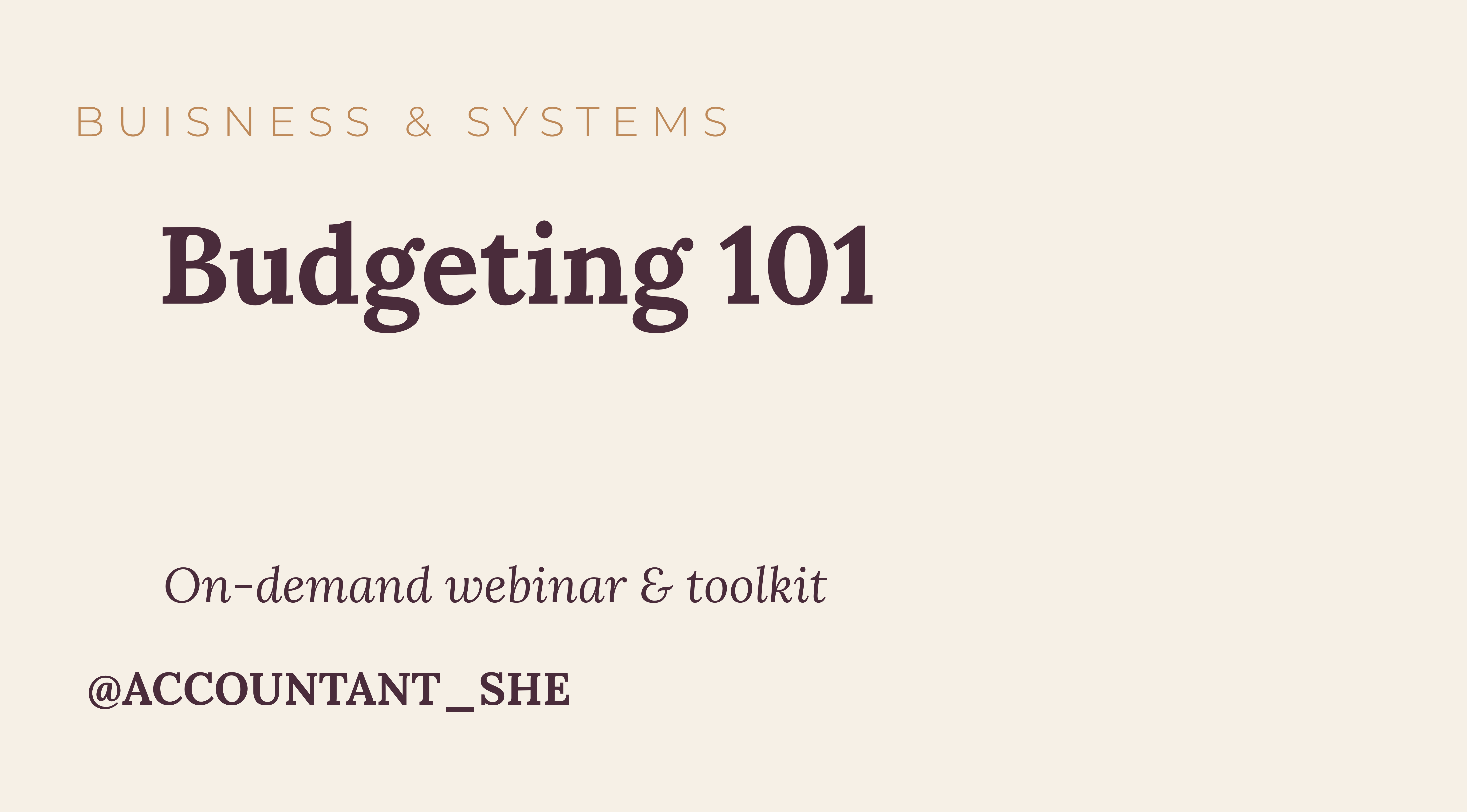 Product image for Budgeting 101 