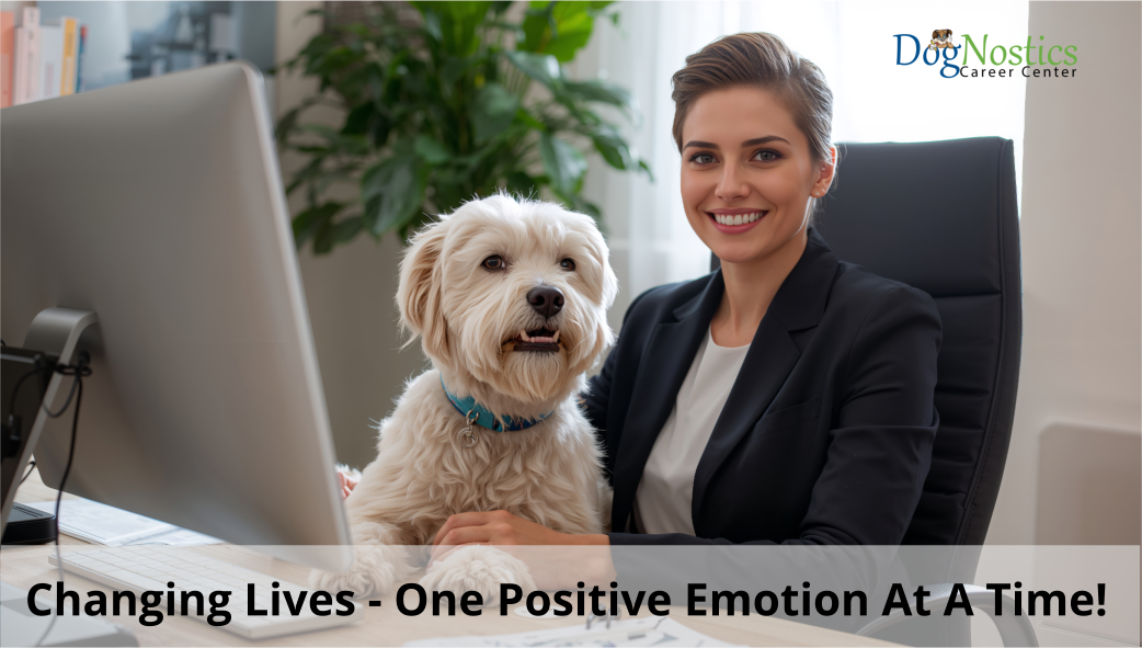 Product image for  Behavior Consulting Diploma