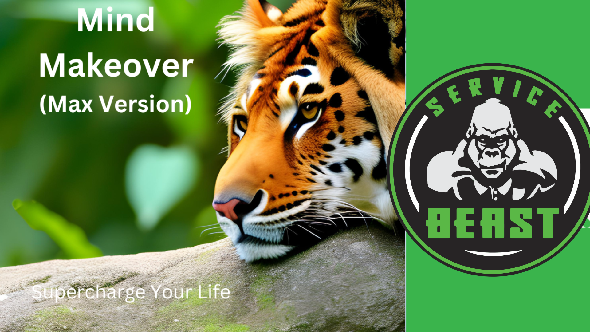 Product image for Mind Makeover - Max Edition