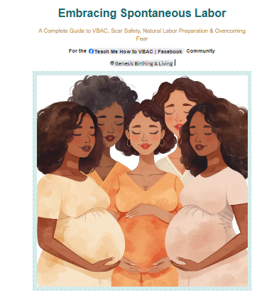 Product image for Embracing Spontaneous Labor : A Complete Guide to VBAC, Scar Safety, Natural Labor Preparation & Overcoming Fear (For the Teach Me How to VBAC Community)