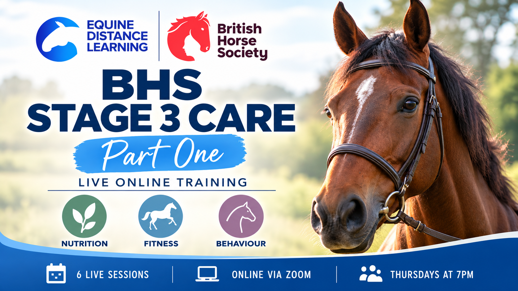 Product image for BHS Stage Three Care Course
