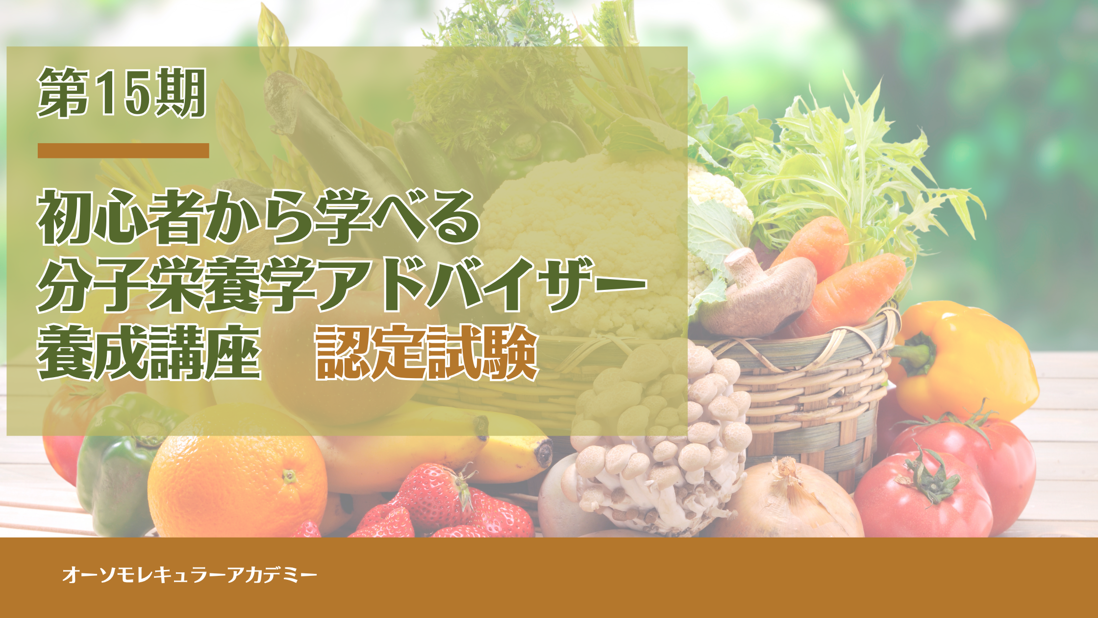 予備日-第15期認定試験（分子栄養学アドバイザー養成講座） の商品画像