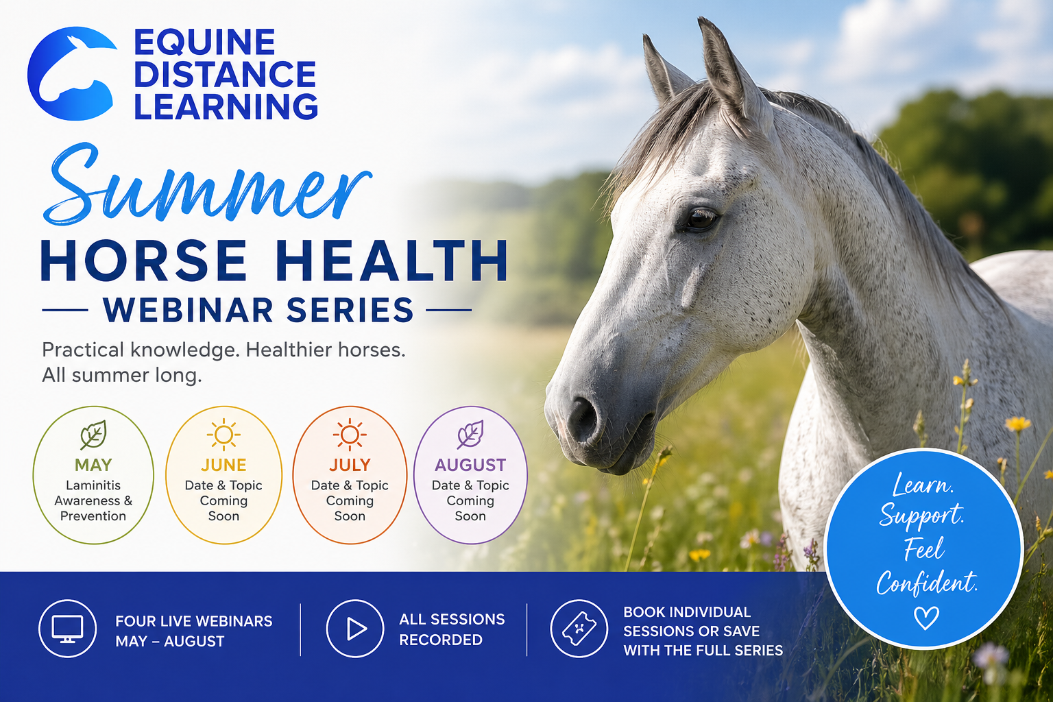 Product image for Summer Webinars