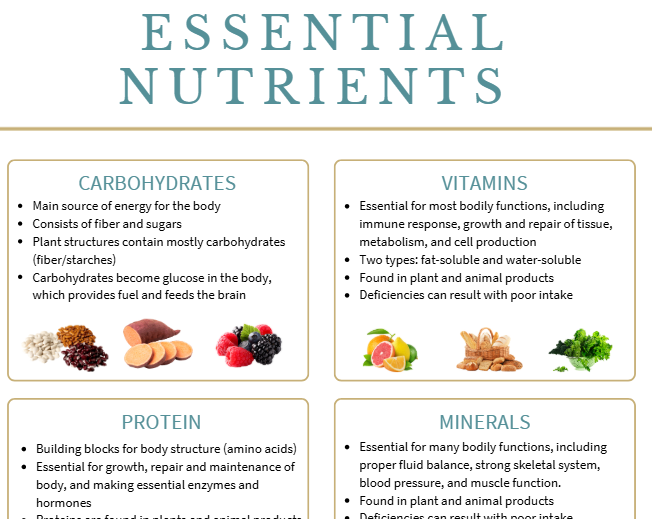 Product image for Essential Nutrients