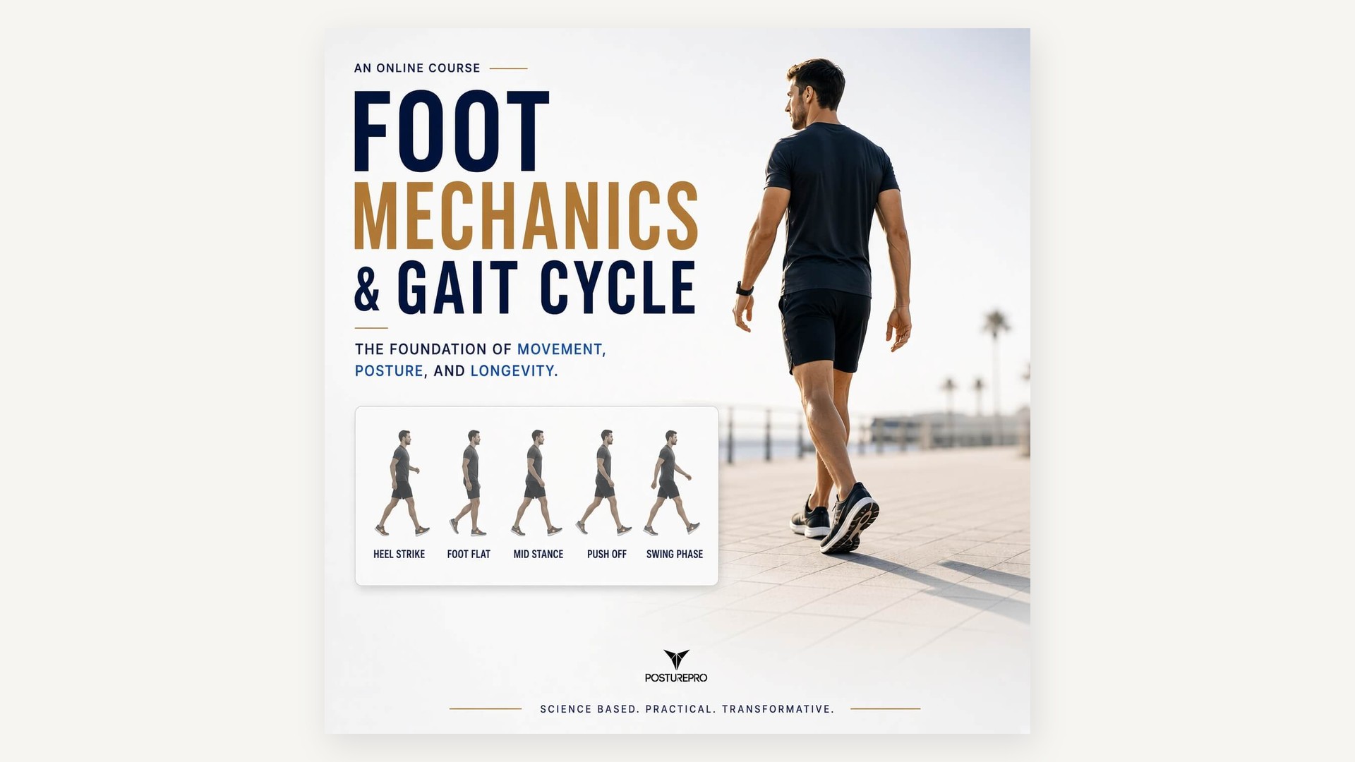 Product image for Foot Mechanics and Gait Cycle